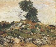 Rocks with Oak Trees (nn04) Vincent Van Gogh